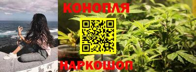 мдпв Ипатово