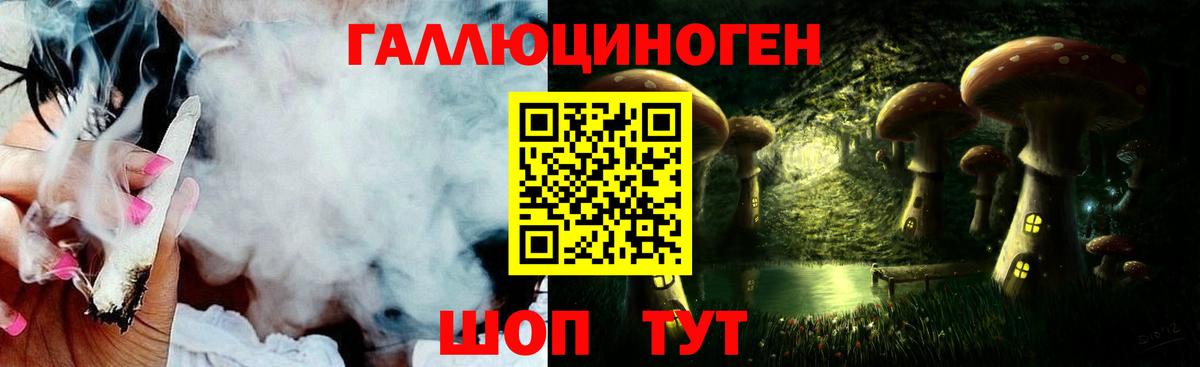 Псилоцибиновые грибы Cubensis Лесосибирск